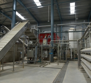 Brewery & Beverages Archives - Praj Industries