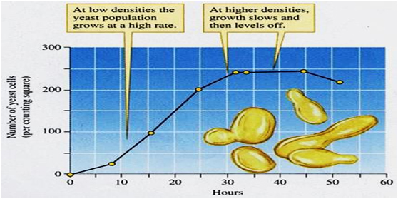 HiFerm-Fermentation-img