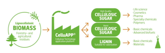 celluni-process